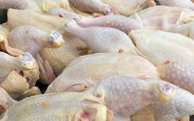 قیمت مرغ در آستانه ورود به کانال ۱۵هزار تومان