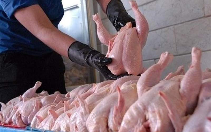 افزایش قیمت مرغ به ۱۵۵۰۰تومان