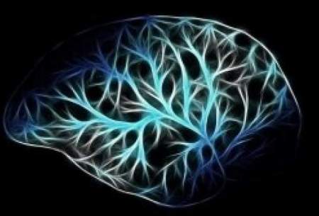 رمزگشایی مغز به منظور کمک به بیماران روانی