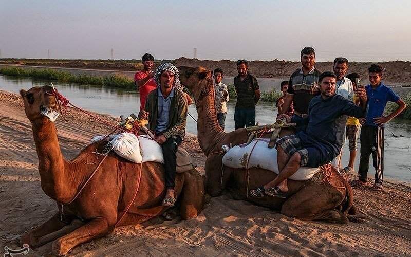 ماراتن شتر سواری در خوزستان