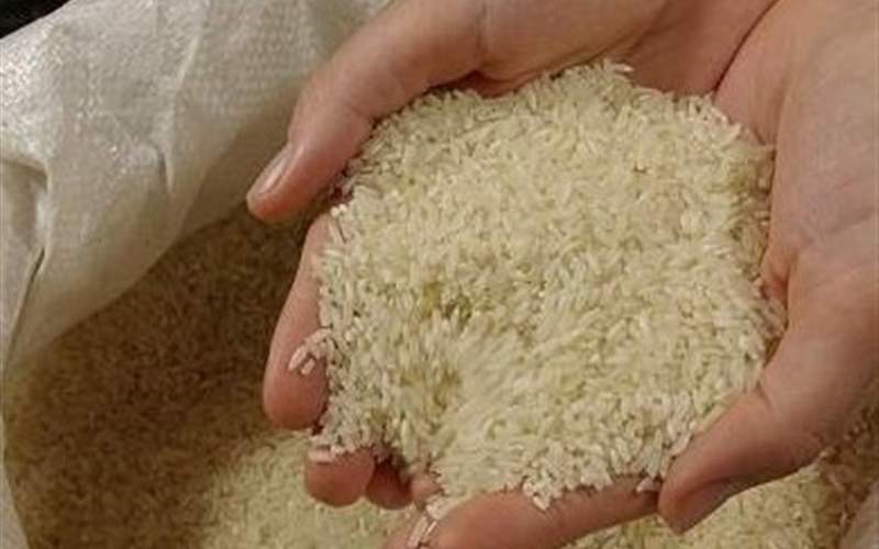 افزایش قیمت برنج ایرانی در بازار