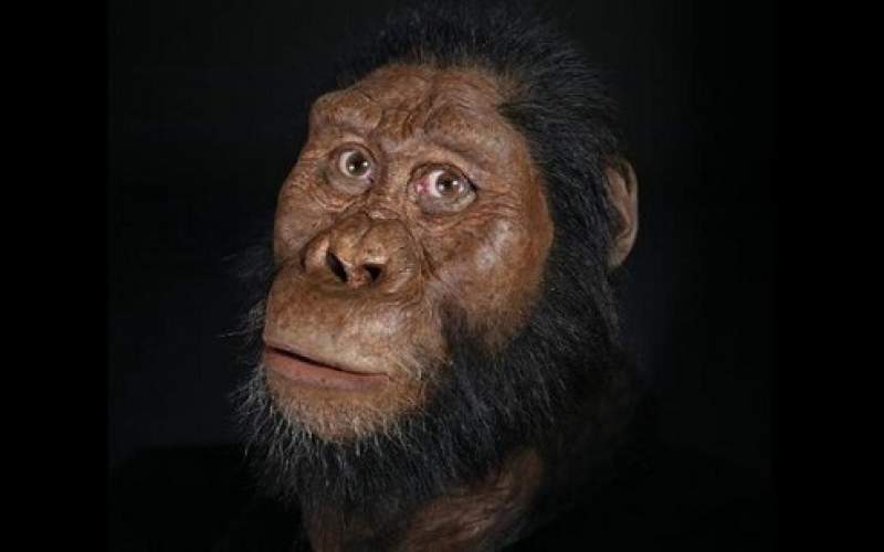 چهره قدیمی‌ترین انسان‌های اولیه رونمایی شد