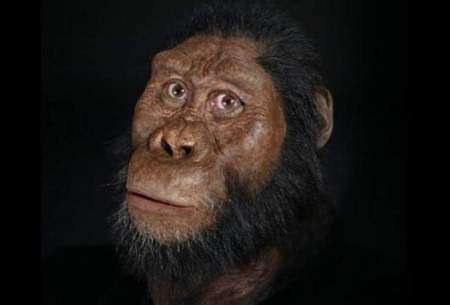 چهره قدیمی‌ترین انسان‌های اولیه رونمایی شد