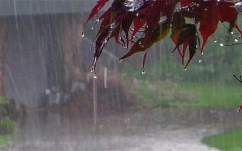 تداوم بارش باران در شمال کشور تا پایان هفته