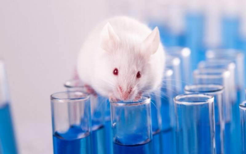 آزمایش روی حیوانات تاسال ۲۰۳۵برچیده می‌شود