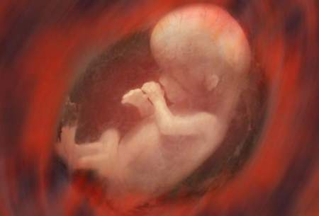 حدود ۳هزار نفر مجوز سقط جنین دریافت کرده‌اند