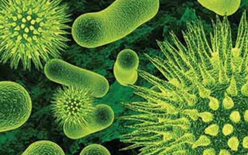 نابودی باکتری‌های مضر با سلاح باکتریایی