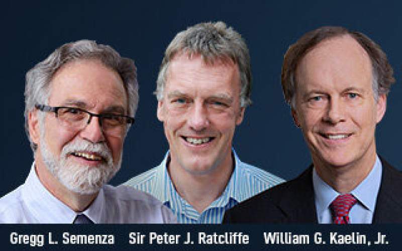 برندگان نوبل پزشکی ۲۰۱۹ معرفی شدند