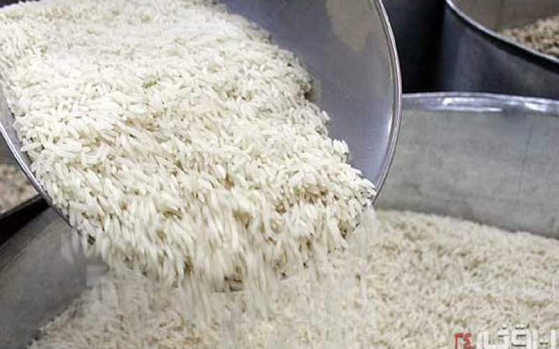 آمار‌های ضد و نقیض از تولید برنج