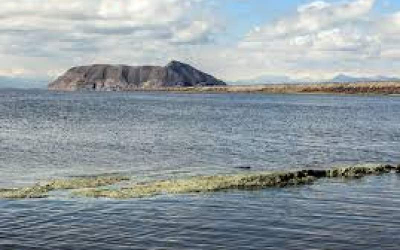 کمک فائو به مدیریت خشکسالی دریاچه‌ی ارومیه