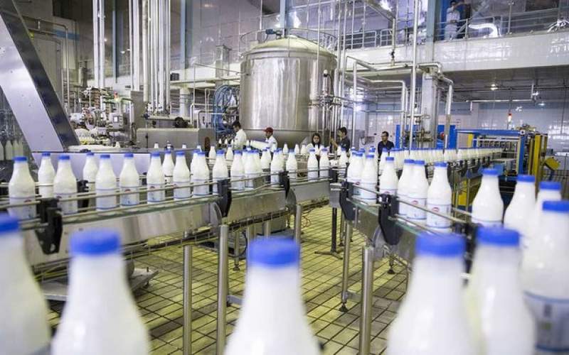 فروش شیر ۳۵ درصد کاهش یافته است