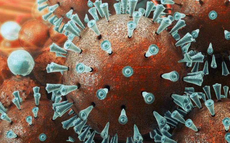 گام اول تولید واکسن کروناویروس در ژاپن