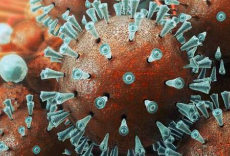 گام اول تولید واکسن کروناویروس در ژاپن