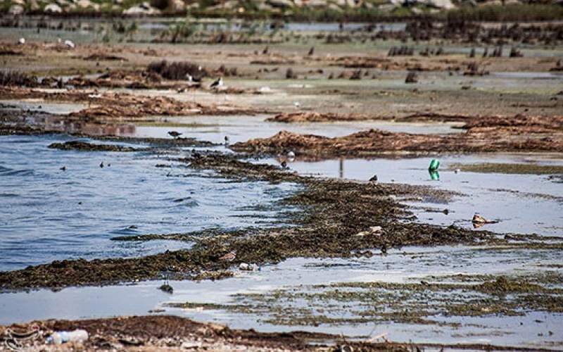 خلیج گرگان ۴ سال دیگر خشک می‌شود