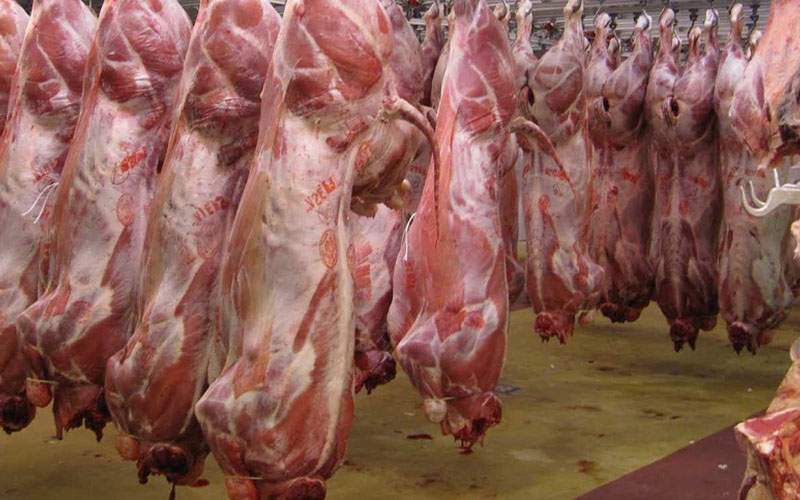 اختلاف چشمگیر قیمت گوشت از دامداری تا بازار