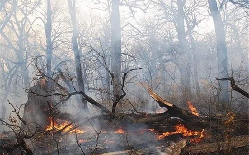 مهار آتش سوزی در جنگل های آستارا