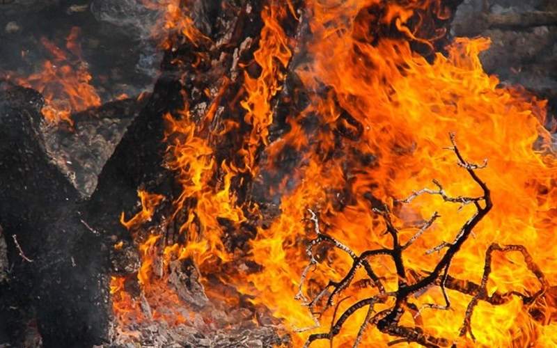 آتش‌سوزی جنگل‌های گیلان مهار شد