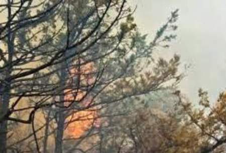 احتمال عمدی بودن آتش‌سوزیِ جنگل‌های شمال