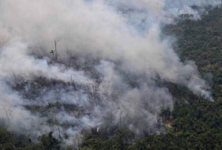 روند صعودی جنگل‌زدایی در آمازون