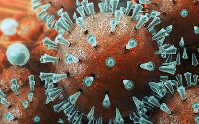 احتمال جهش و افزایش بیماری‌زایی کروناویروس