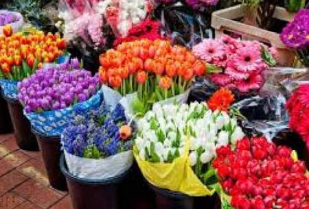 قیمت انواع گل در آستانه روز مادر اعلام شد