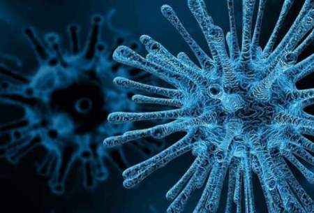 ویروس‌ها چه هستند و چرا ما را بیمار می‌کنند؟