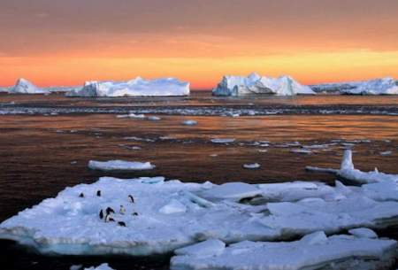 کشف جزیره‌ای باآب شدن یخچال‌های قطب جنوب