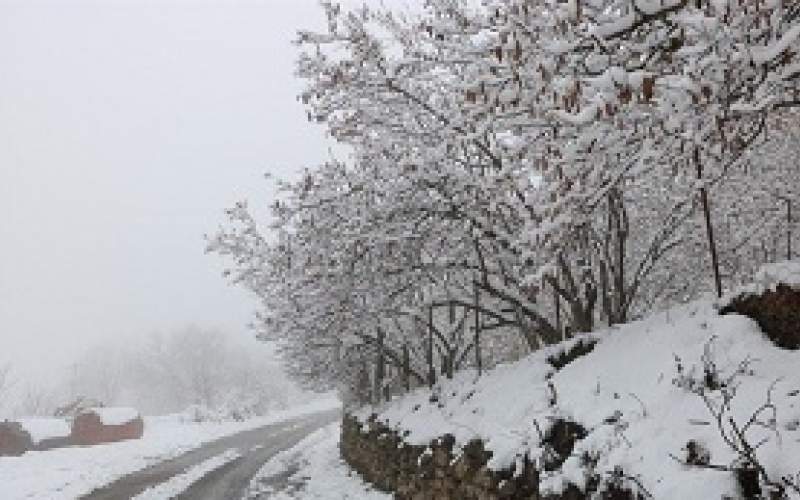 برف و باران در جاده های هشت استان