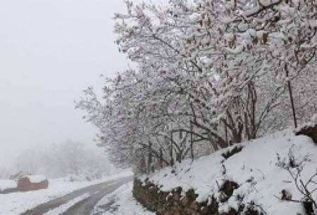 برف و باران در جاده های هشت استان