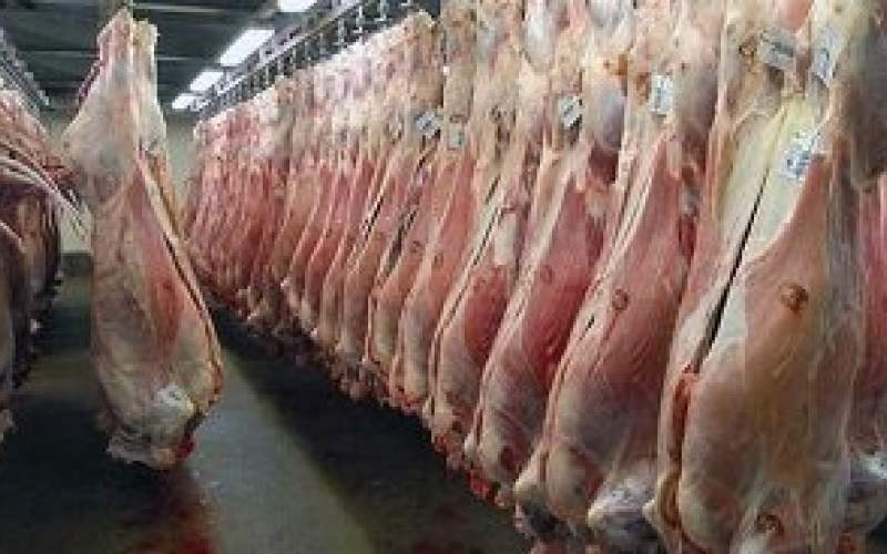 نرخ مصوب گوشت گوسفندی اعلام شد