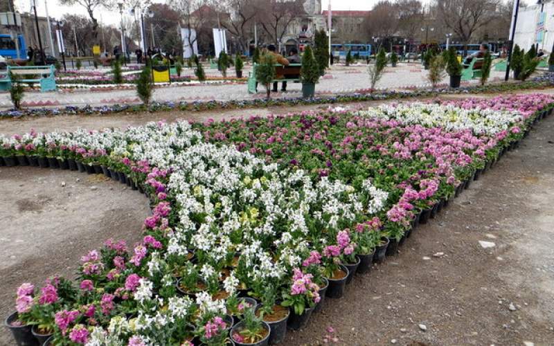 تبریز با گل‌های زیبا به استقبال بهار می‌رود