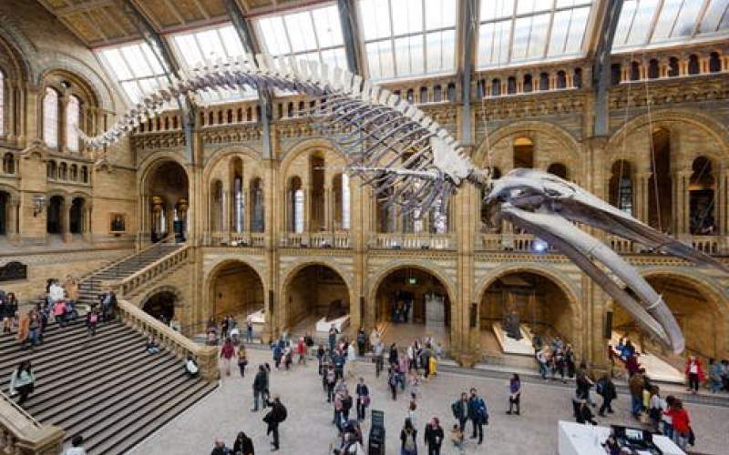 تعطیلی موزه‌های بریتانیا به‌خاطر کرونا