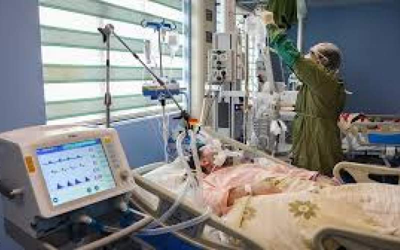 رشد ۵ درصدی بیماران کرونایی در تهران