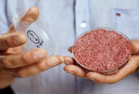 گوشت مصنوعی چطور به بازار مصرف رسید؟