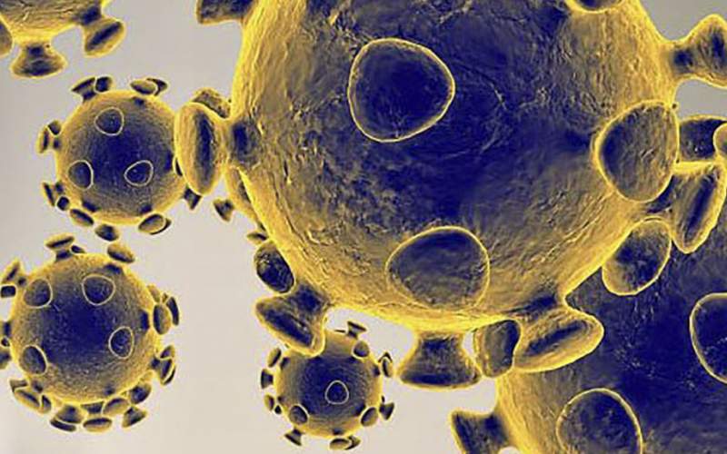 پژوهش جدید: امکان دارد ویروس کرونا سال‌ها در بدن انسان‌ها بوده باشد