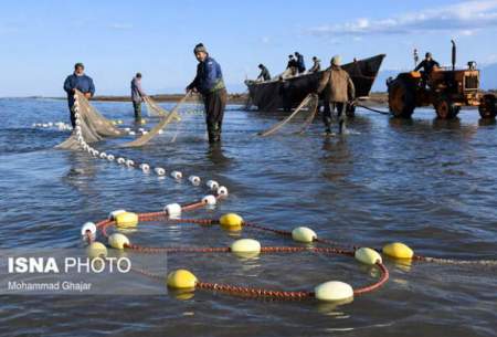 امروز آخرین روز صید ماهیان دریای مازندران