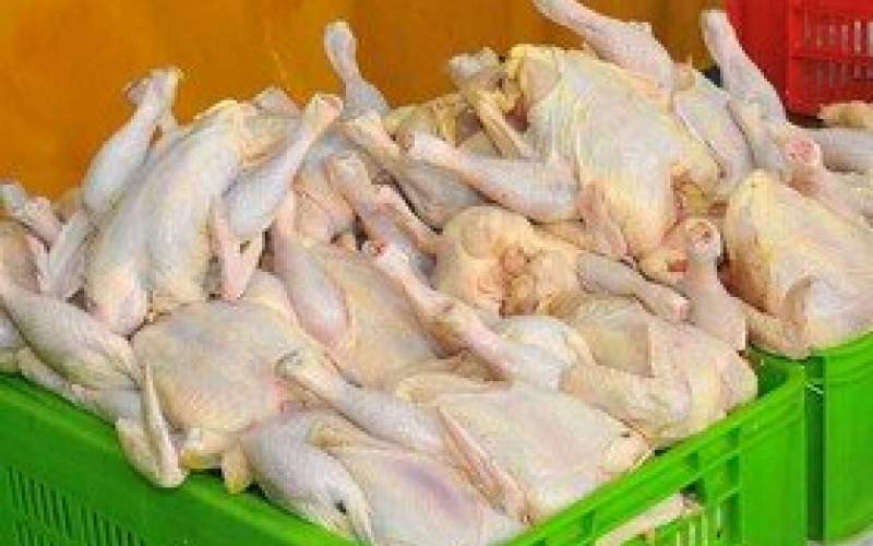 کاهش ۳۰ درصدی مصرف مرغ