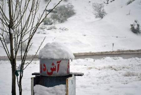 بارش برف در گردنه حیران/تصاویر