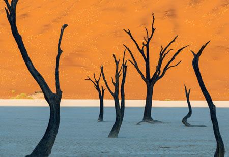 پارک مُرده Namib-Naukluft