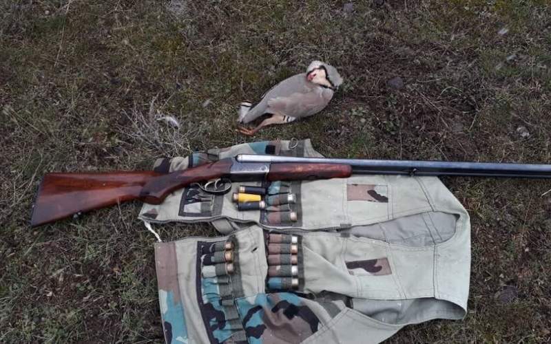 شکارچی متخلف پرندگان در سردشت دستگیر شد
