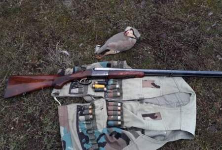 شکارچی متخلف پرندگان در سردشت دستگیر شد