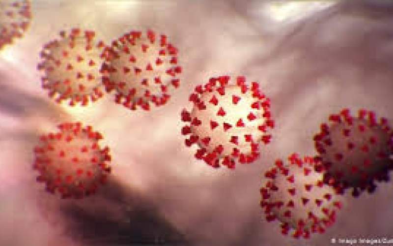 لحظه آلوده شدن سلول‌های سالم به کروناویروس