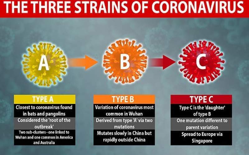 ۳ نوع مختلف ویروس کرونا شناسایی شد