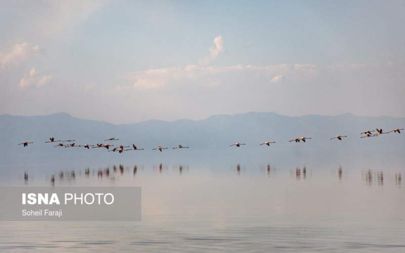 دریاچه ارومیه در بهترین وضعیت طی۱۰سال اخیر