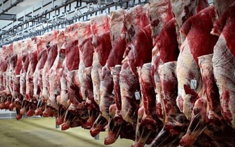 کاهش ۶۰ درصدی مصرف گوشت در کشور