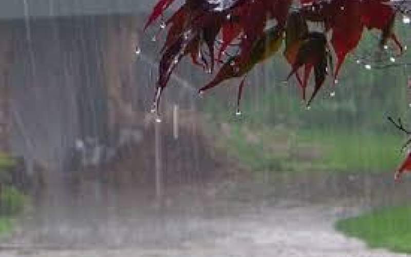 بارش باران در بیشتر مناطق کشور تا پایان هفته