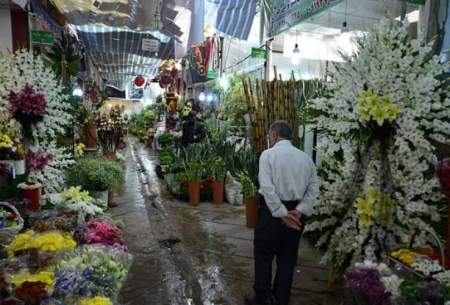 بازار گل مثل زمستان یخ زد