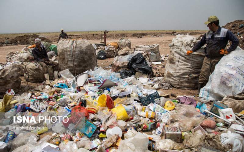ظهور زباله گردهای جدید در فصل کرونا