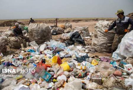 ظهور زباله گردهای جدید در فصل کرونا