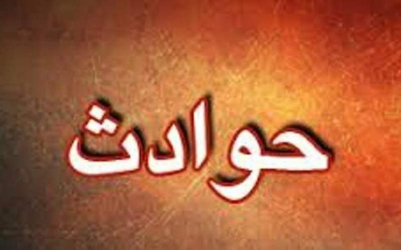 مرگ دختر ۷ساله بر اثر حمله گاو وحشی